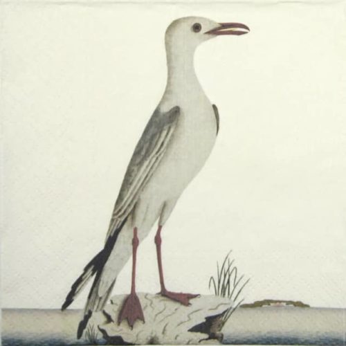 Paper Napkin - Seagull