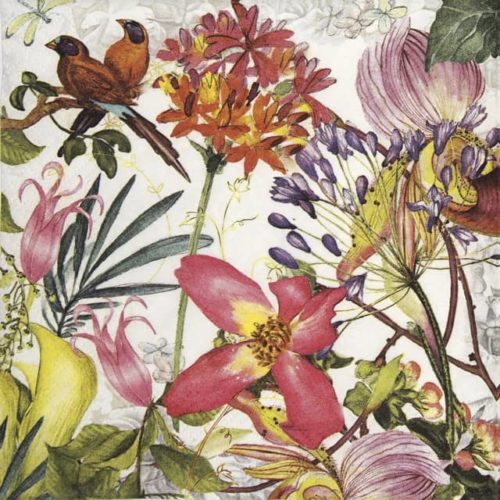 Lunch Napkins (20) - Exotic Garden