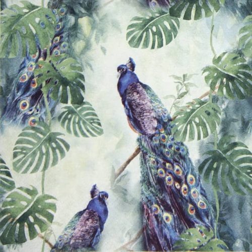Lunch Napkins (20) - Peacock Paradise
