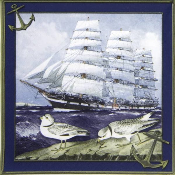 Lunch Napkins (20) - Windjammer