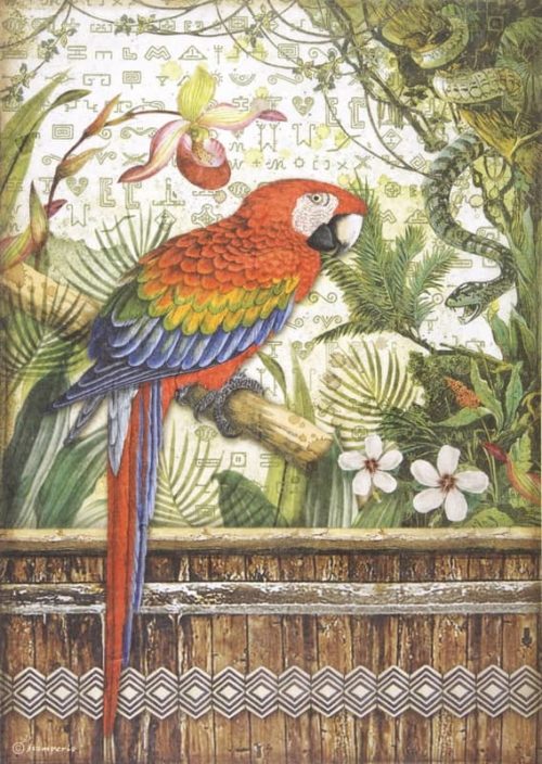 Rice Paper - Amazonia parrot