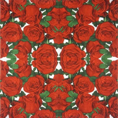 Maki_Classic-red-roses_SLOG044601