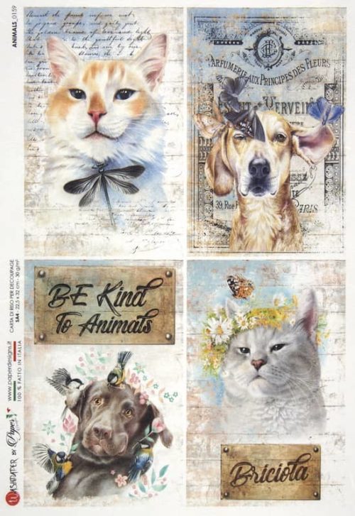 Rice Paper - Dogs and Cats - 0159
