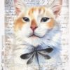 Rice Paper - Cat and Dragonfly - 0160 (22 x 32cm)