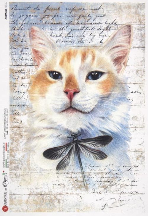 Rice Paper - Cat and Dragonfly - 0160