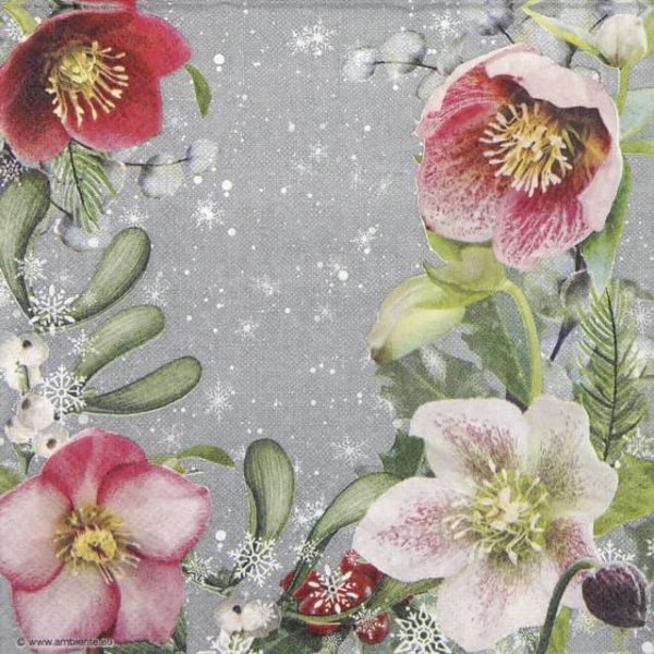 Cocktail Napkins (20) - Helleborus Orientalis Grey