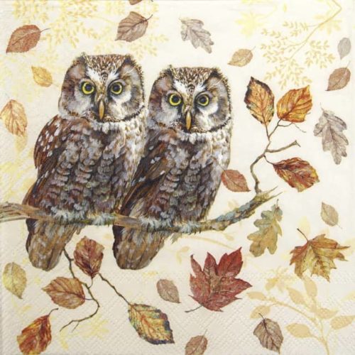 Paper Napkin - Owl Couple