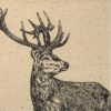 Paper Napkin - Proud Deer