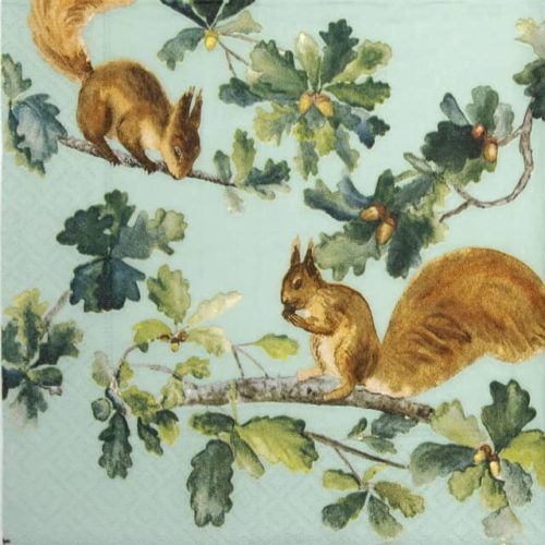 Paper Napkin - Squirrels