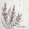 Cocktail Napkin - Calluna Vulgaris_IHR_C917245