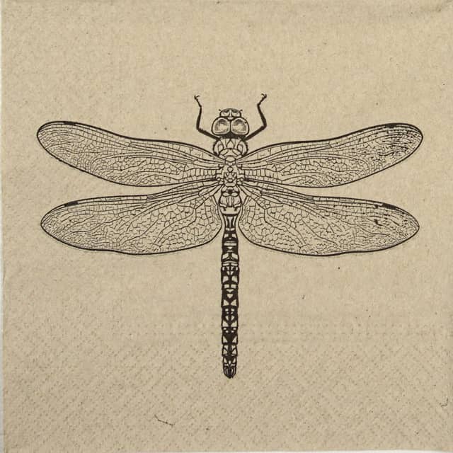 Paper Napkin - We Care Dragonfly