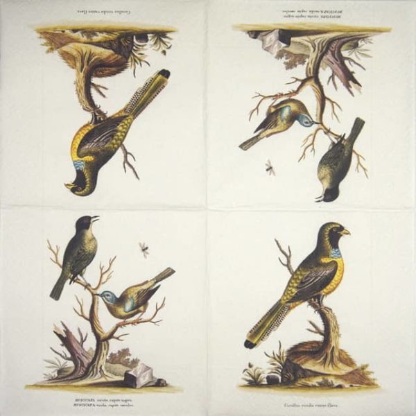 Lunch Napkins (25) - Singing Birds - Image 2