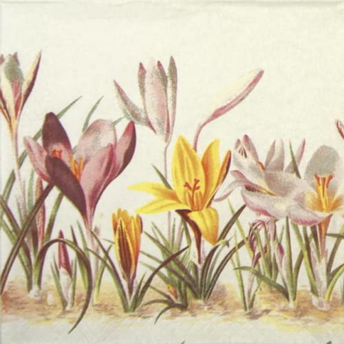 Lunch Napkins - Crocus (25 pieces)