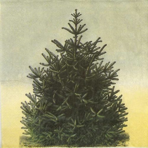 Paper Napkin - Pine