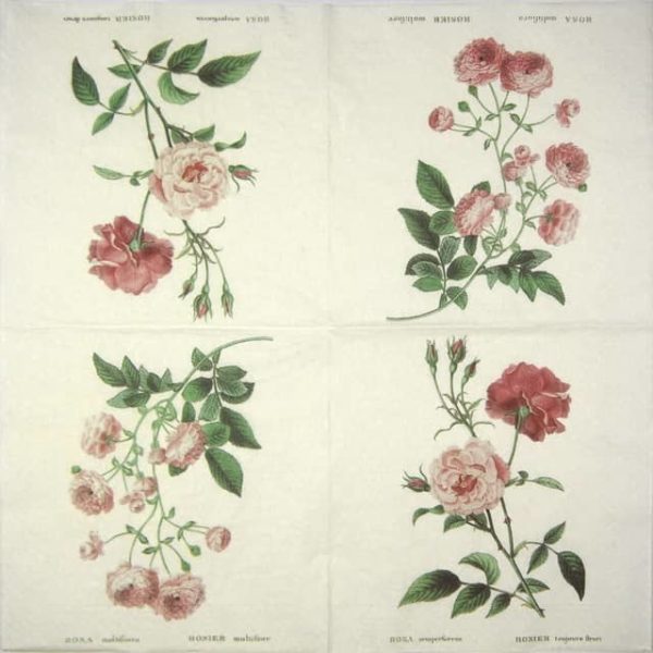 Paper Napkin - Rosier