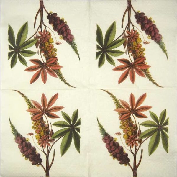 Paper Napkin - Le Palmachristi - Image 2