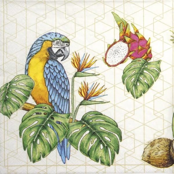 Paper Napkin - Parrots with Tropical Motifs_Daisy_SDOG033301