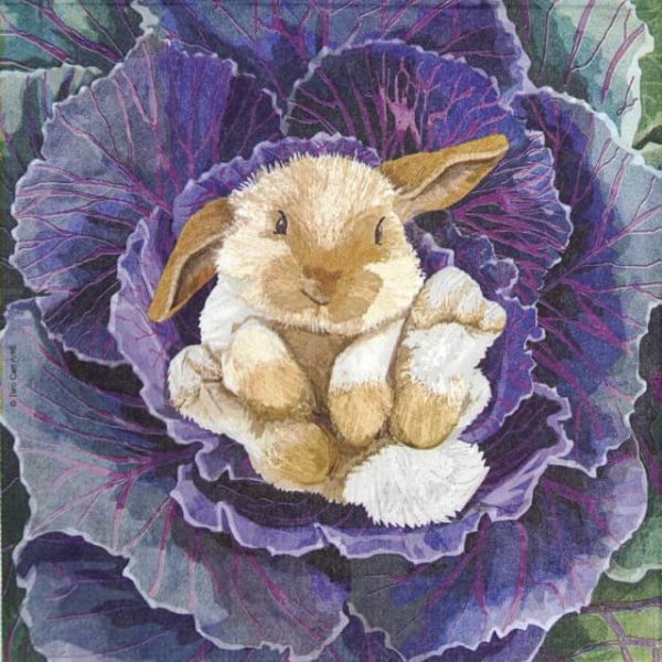 Paper Napkin - Two Can Art: Babs the Bunny_PPD_1333749
