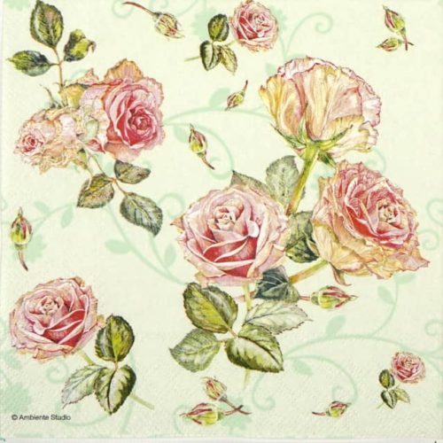 Lunch Napkins (20) - Rosie Green