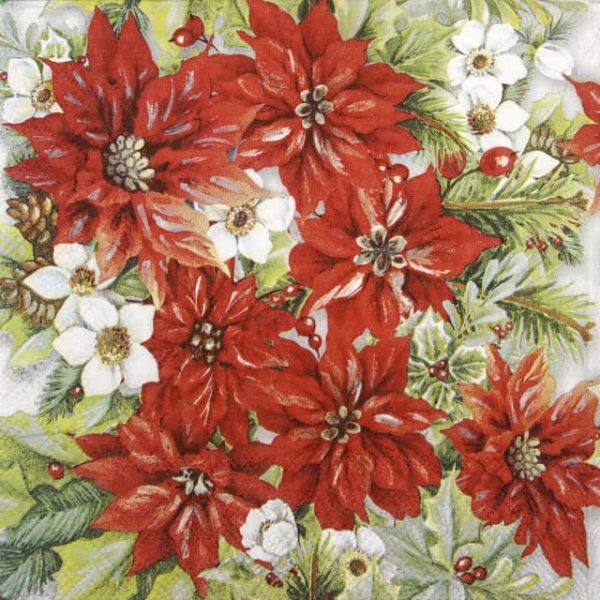 Cocktail Napkin - Poinsettia All Over