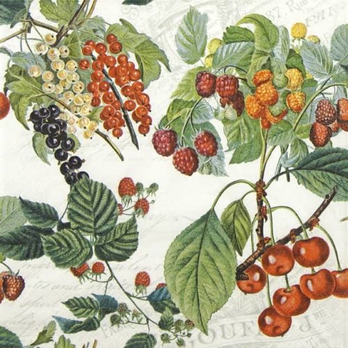 Paper napkin with mix of berries