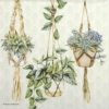 Paper napkin green hanging plants