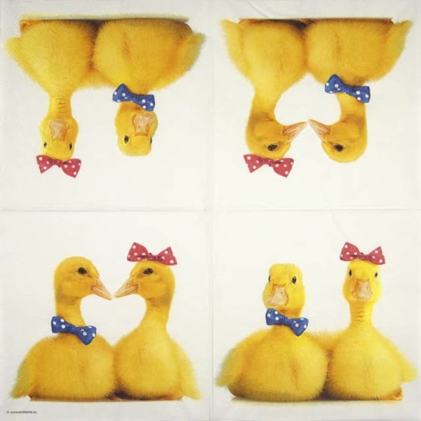 paper napkin bride and groom yellow ducks couple