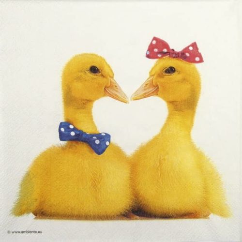 paper napkin bride and groom yellow ducks couple