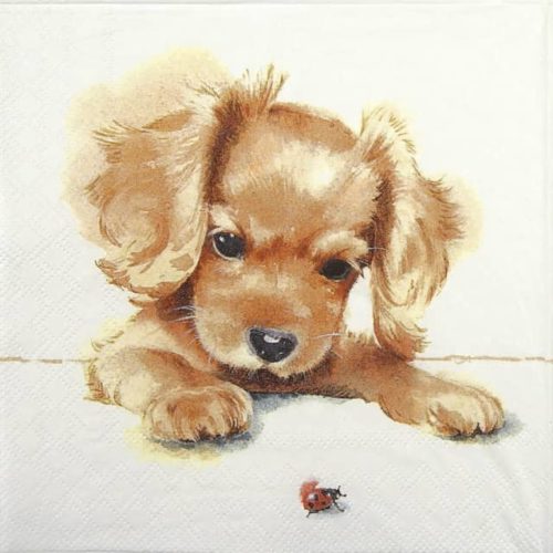 Paper napkin little puppy with ladybird