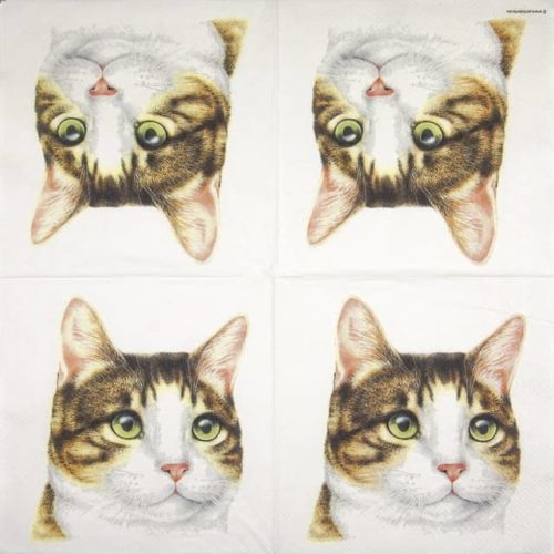 Paper napkin cat face picture