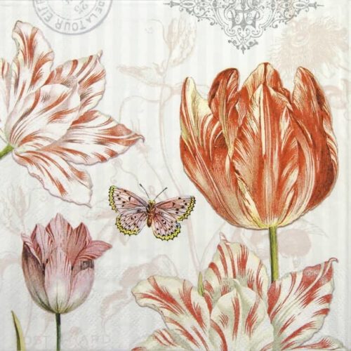 Paper Napkin - Tulips Postcards