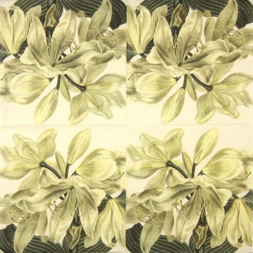 Paper napkin white amaryllis