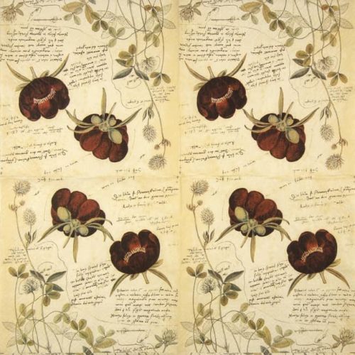 Paper napkin Anemone Bulbs Paper Napkin - Anno 1550 - Old botanical book