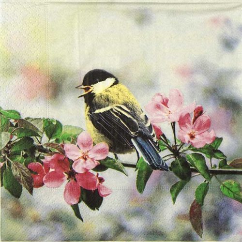 Paper Napkin Spring Bird with Blossom