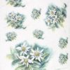 Rice Paper - Painted Flower Jasmine