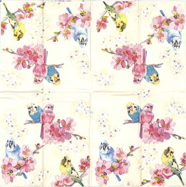 Handkerchiefs - Parakeets apricot