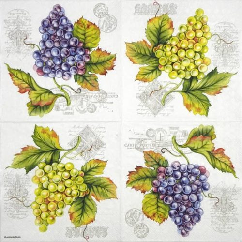 Ambiente-Grape-vine-13311100