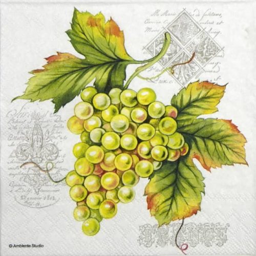 Lunch Napkins (20) - Grape Vine