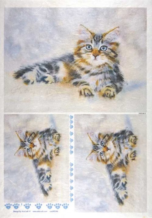 Rice Paper - Hello Cats