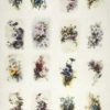 Rice Paper Spring Flower Collection