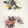 Rice Paper - Spring Flower Collection - R1991