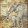 Rice Paper - Savana The elephant Stamperia DFSA4684