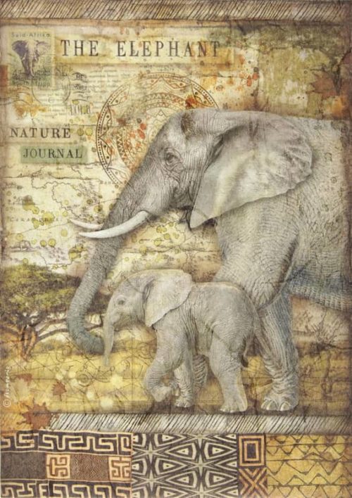 Rice Paper - Savana The elephant Stamperia DFSA4684