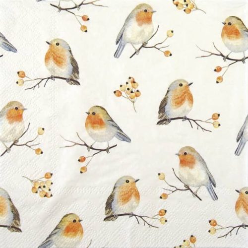 Paper Napkin Robin Family