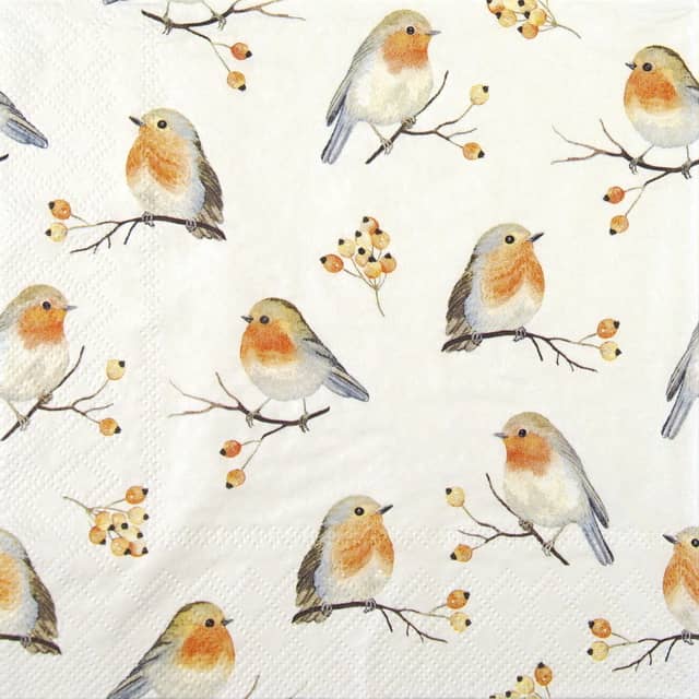 Paper Napkin Robin Family