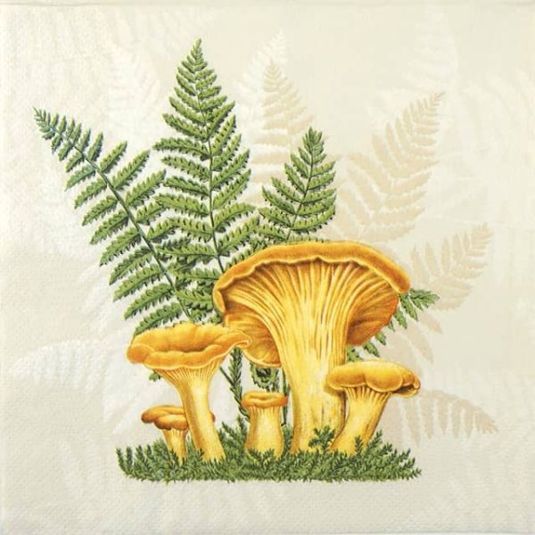 Paper Napkin Boletus with Leaves of Fern