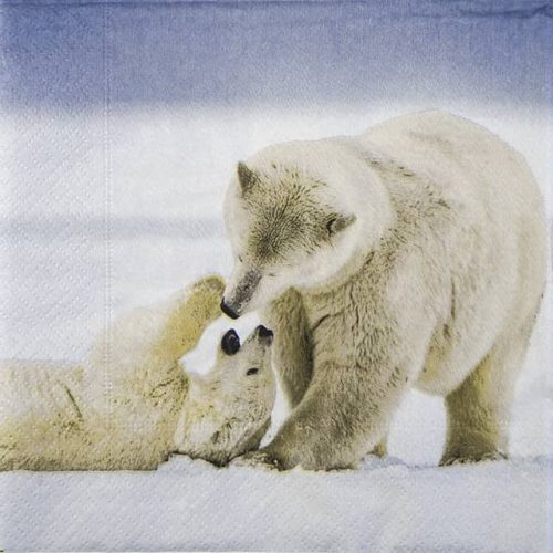 Single Decoupage Napkin - Cuddly Bears