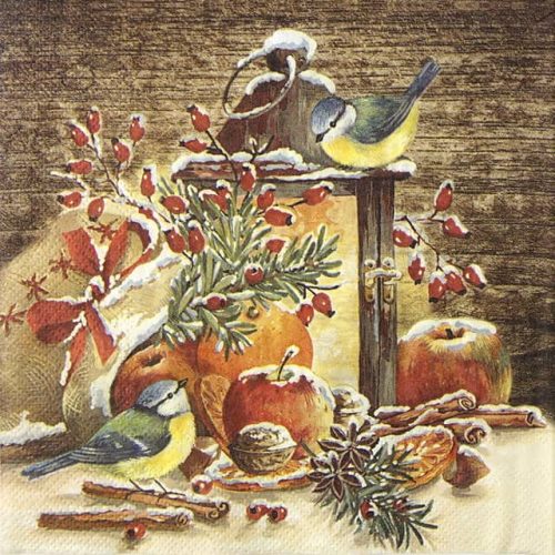 Paper Napkin Winter Light with birds and apples