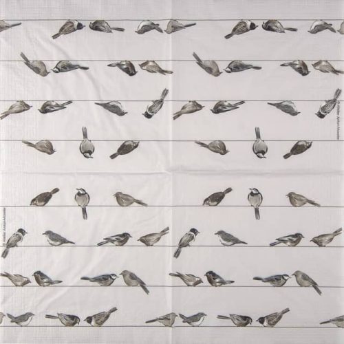 Papern Napkin - Birds