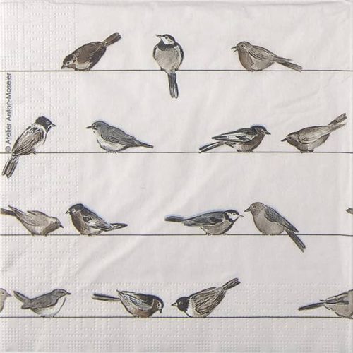 Papern Napkin - Birds
